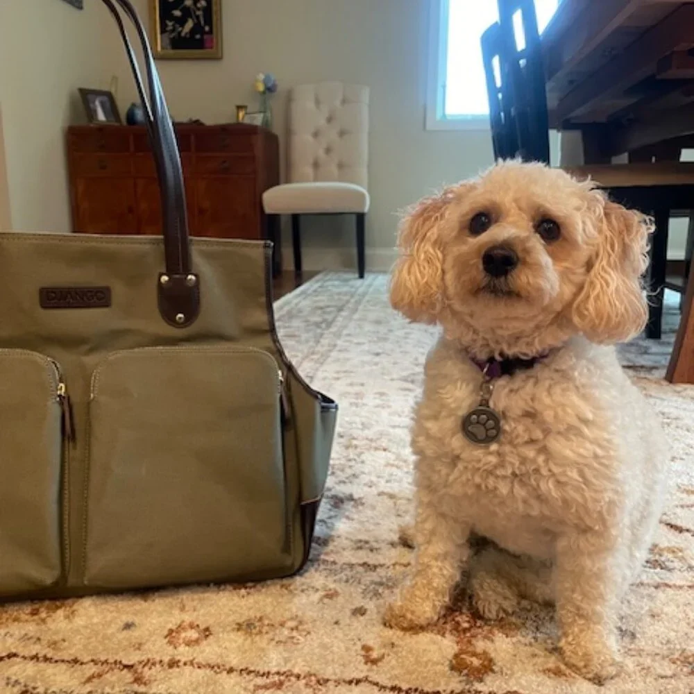 Lux Dog Carrier/Purse - Olive Green Canvas with Brown Leather